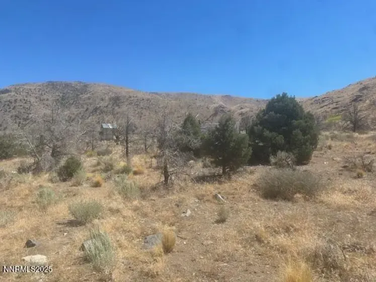 0 Pinon Place, Coleville, California 96107, ,Land,Residential,Pinon Place,250054818