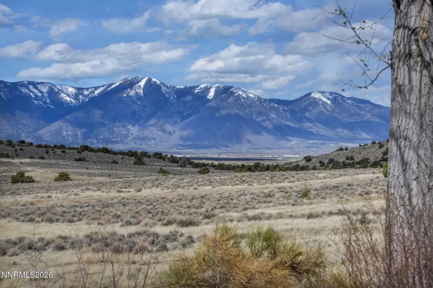 1568 Barker, Gardnerville, Nevada 89410, 5 Bedrooms Bedrooms, ,4 BathroomsBathrooms,Residential,Residential,Barker,260002021