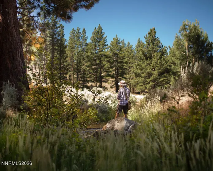 49 Boulders Bend, Carson City, Nevada 89705, ,Land,Residential,Boulders Bend,260002018