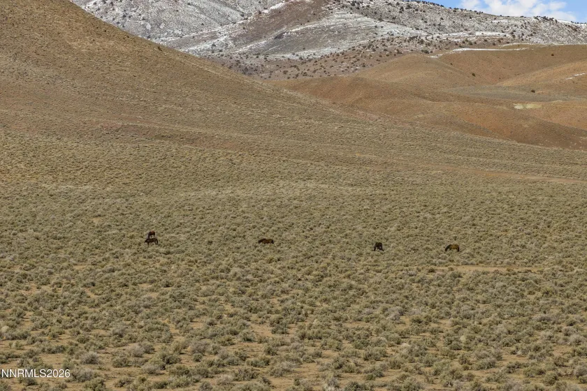 594 Pine Creek, Dayton, Nevada 89403, 4 Bedrooms Bedrooms, ,3 BathroomsBathrooms,Residential,Residential,Pine Creek,260002043