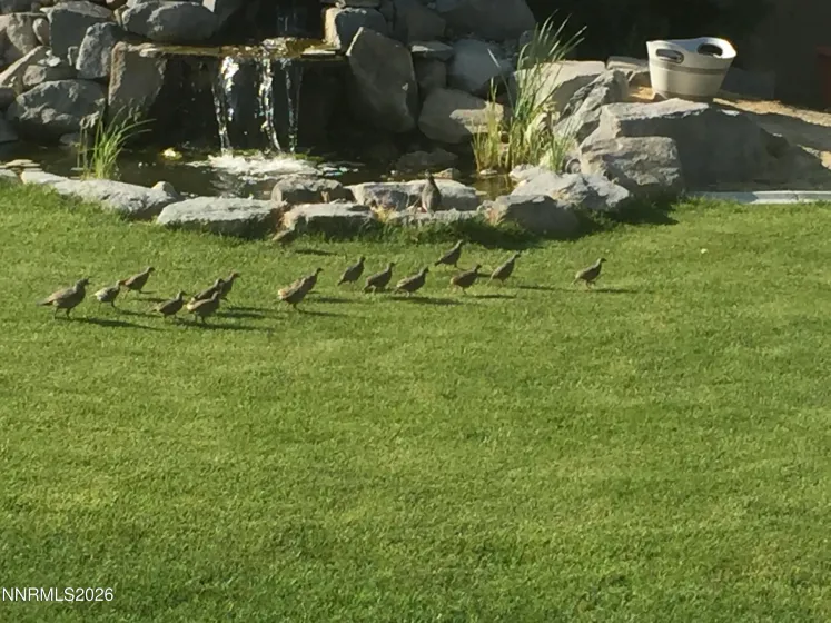 1034 Winters, Dayton, Nevada 89403, 5 Bedrooms Bedrooms, ,3 BathroomsBathrooms,Residential,Residential,Winters,260002054