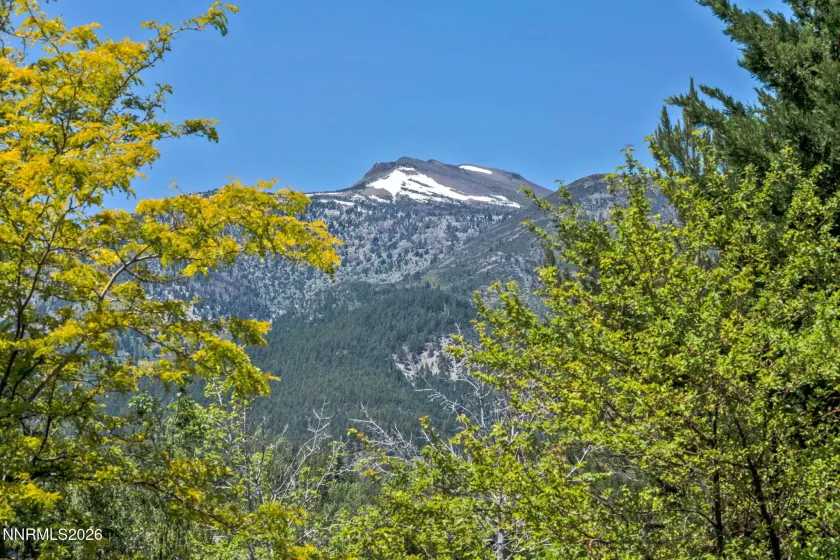 5808 Tannerwood, Reno, Nevada 89511, 5 Bedrooms Bedrooms, ,6 BathroomsBathrooms,Residential,Residential,Tannerwood,260002079