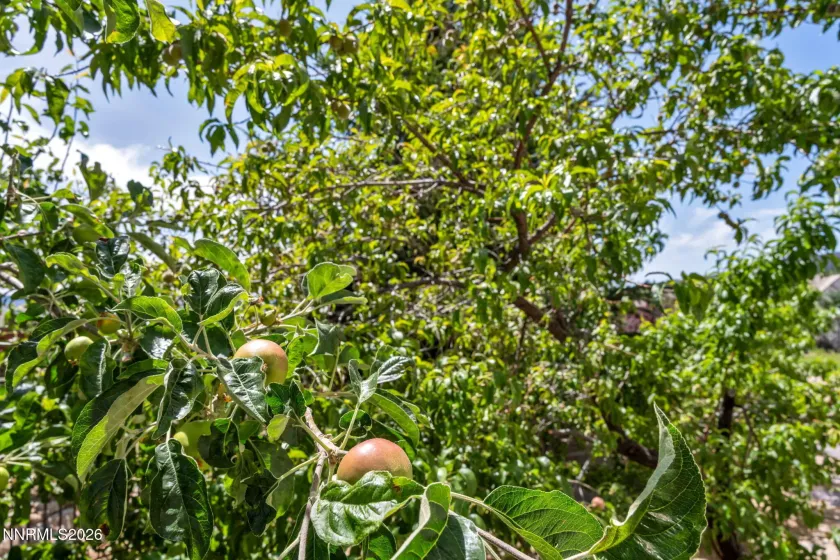 5808 Tannerwood, Reno, Nevada 89511, 5 Bedrooms Bedrooms, ,6 BathroomsBathrooms,Residential,Residential,Tannerwood,260002079