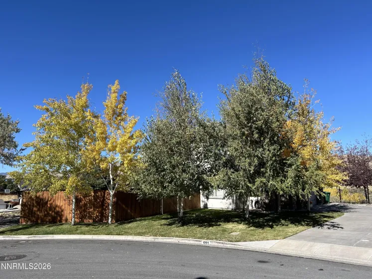 1091 Crown View, Reno, Nevada 89523, 3 Bedrooms Bedrooms, ,3 BathroomsBathrooms,Residential,Residential,Crown View,260002132