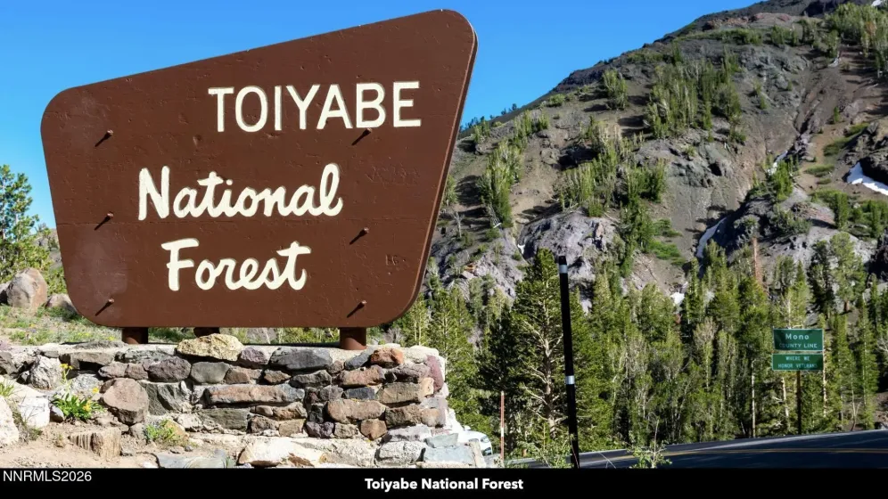 0 Genoa Peak, Stateline, Nevada 89449, ,Land,Residential,Genoa Peak,260002201