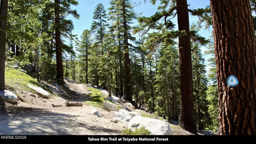 0 Genoa Peak, Stateline, Nevada 89449, ,Land,Residential,Genoa Peak,260002201