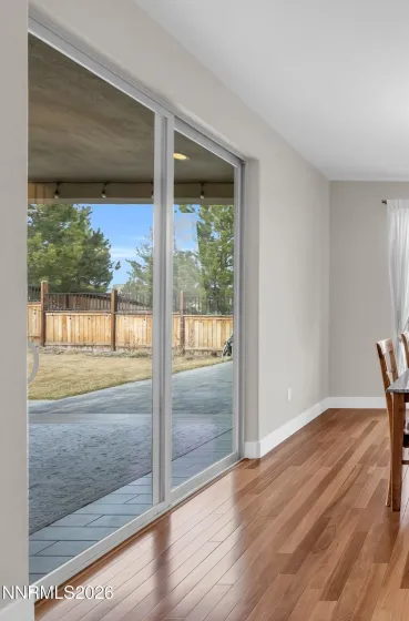 Check Out the Backyard