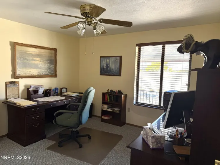 30 Tognoli, Yerington, Nevada 89447, 3 Bedrooms Bedrooms, ,4 BathroomsBathrooms,Farm & Ranch,Residential,Tognoli,260002234