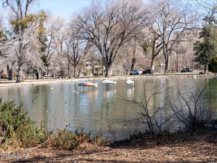 1164 Mayflower, Reno, Nevada 89509, 3 Bedrooms Bedrooms, ,2 BathroomsBathrooms,Residential,Residential,Mayflower,260002236