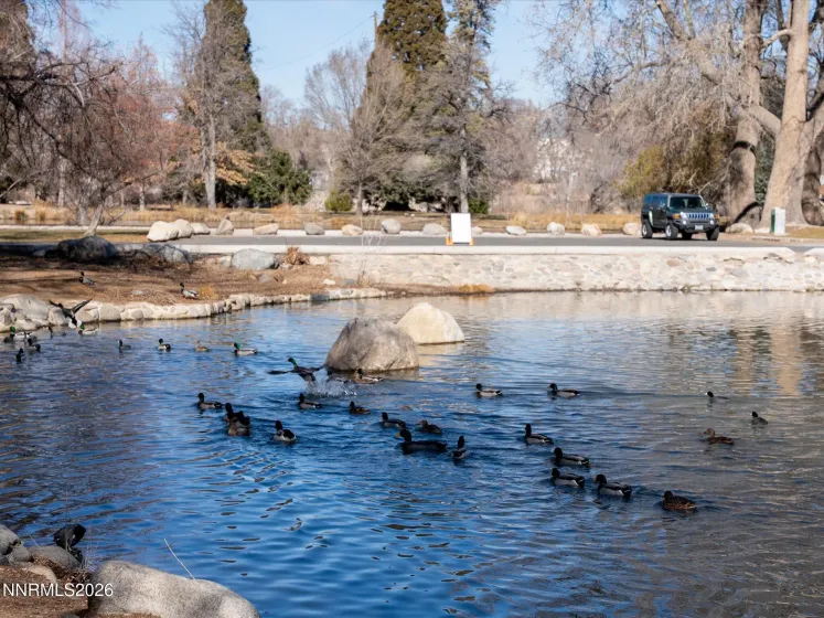 1164 Mayflower, Reno, Nevada 89509, 3 Bedrooms Bedrooms, ,2 BathroomsBathrooms,Residential,Residential,Mayflower,260002236