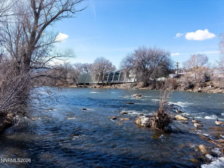 1164 Mayflower, Reno, Nevada 89509, 3 Bedrooms Bedrooms, ,2 BathroomsBathrooms,Residential,Residential,Mayflower,260002236