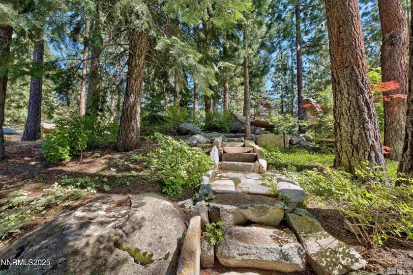 259 Mc Faul, Zephyr Cove, Nevada 89448, 3 Bedrooms Bedrooms, ,2 BathroomsBathrooms,Residential,Residential,Mc Faul,250051958