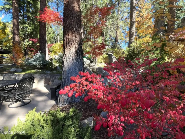 259 Mc Faul, Zephyr Cove, Nevada 89448, 3 Bedrooms Bedrooms, ,2 BathroomsBathrooms,Residential,Residential,Mc Faul,250051958