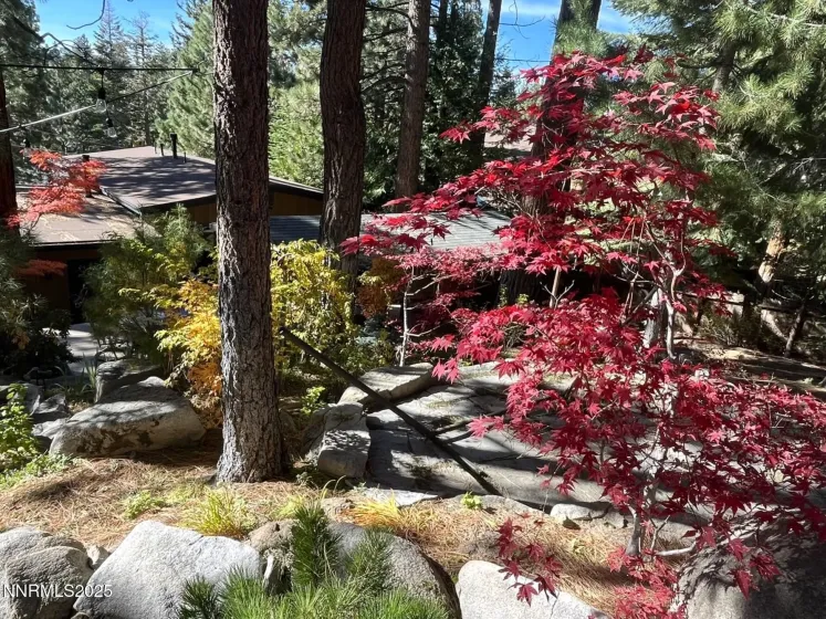 259 Mc Faul, Zephyr Cove, Nevada 89448, 3 Bedrooms Bedrooms, ,2 BathroomsBathrooms,Residential,Residential,Mc Faul,250051958