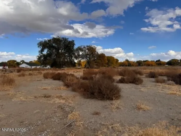 785 Wetland, Fallon, Nevada 89406, ,Land,Residential,Wetland,260002283