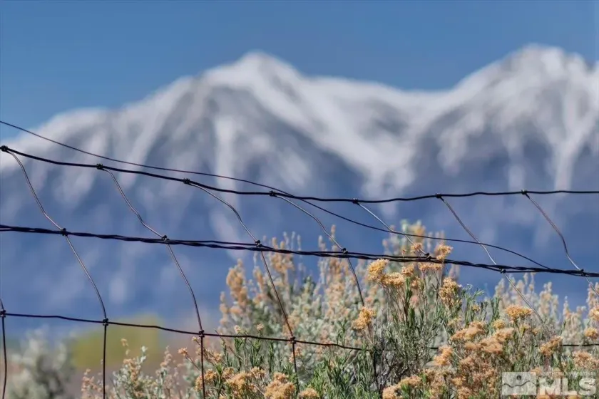 1700 Sunrise Pass, Minden, Nevada 89423, ,Land,Residential,Sunrise Pass,260002285