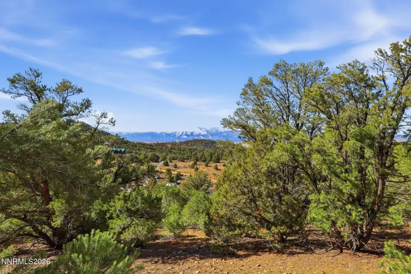 480 Highland, Reno, Nevada 89521, ,Land,Residential,Highland,260002290