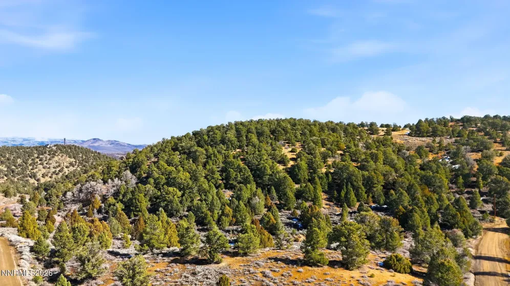 480 Highland, Reno, Nevada 89521, ,Land,Residential,Highland,260002290