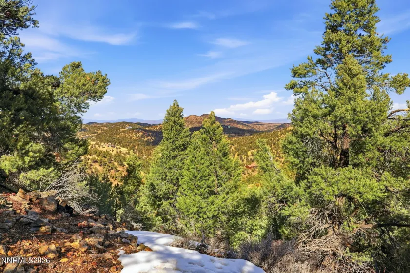 480 Highland, Reno, Nevada 89521, ,Land,Residential,Highland,260002290