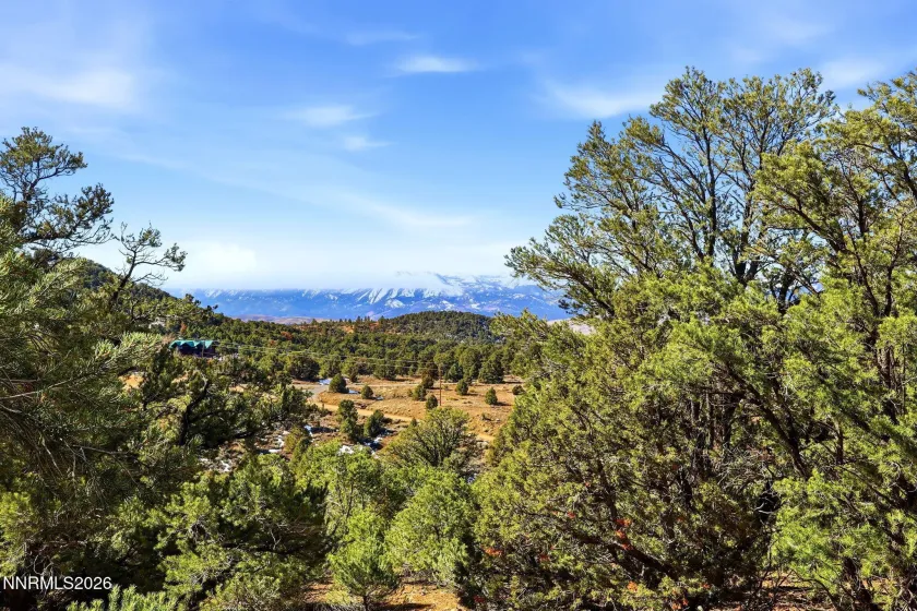 480 Highland, Reno, Nevada 89521, ,Land,Residential,Highland,260002290