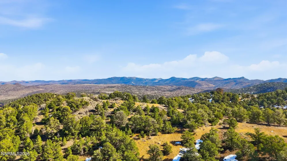 480 Highland, Reno, Nevada 89521, ,Land,Residential,Highland,260002290