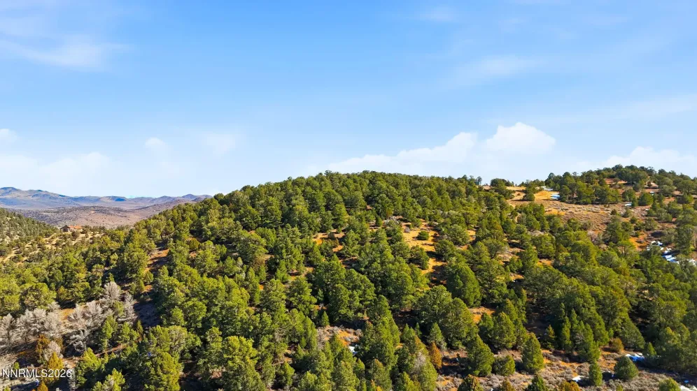 480 Highland, Reno, Nevada 89521, ,Land,Residential,Highland,260002290