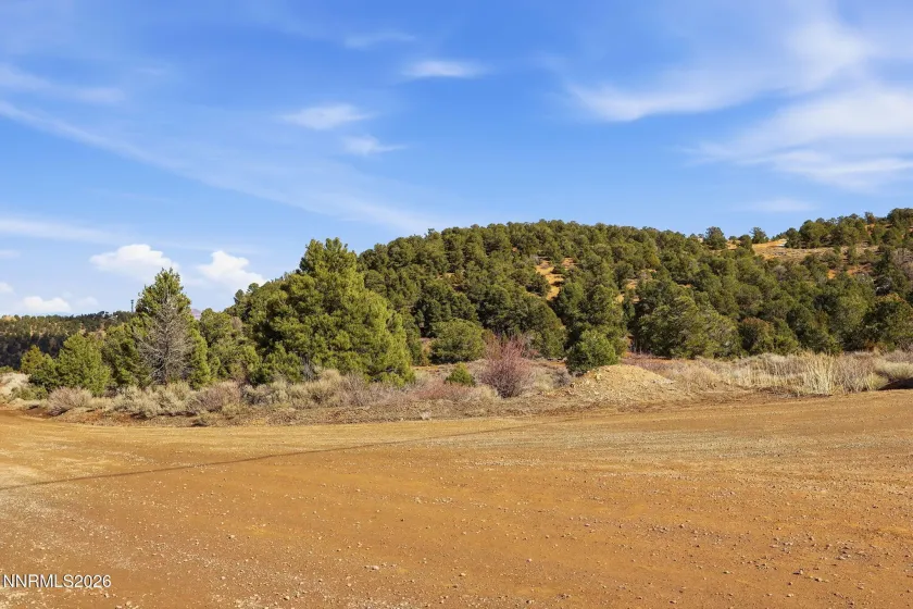 480 Highland, Reno, Nevada 89521, ,Land,Residential,Highland,260002290