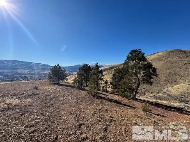 0 APN 081-160-06, Reno, Nevada 89523, ,Land,Residential,APN 081-160-06,250002399