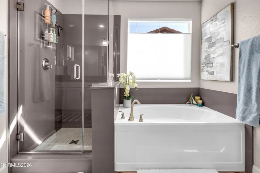 120 Balcorta, Reno, Nevada 89523, 4 Bedrooms Bedrooms, ,4 BathroomsBathrooms,Residential,Residential,Balcorta,260002327