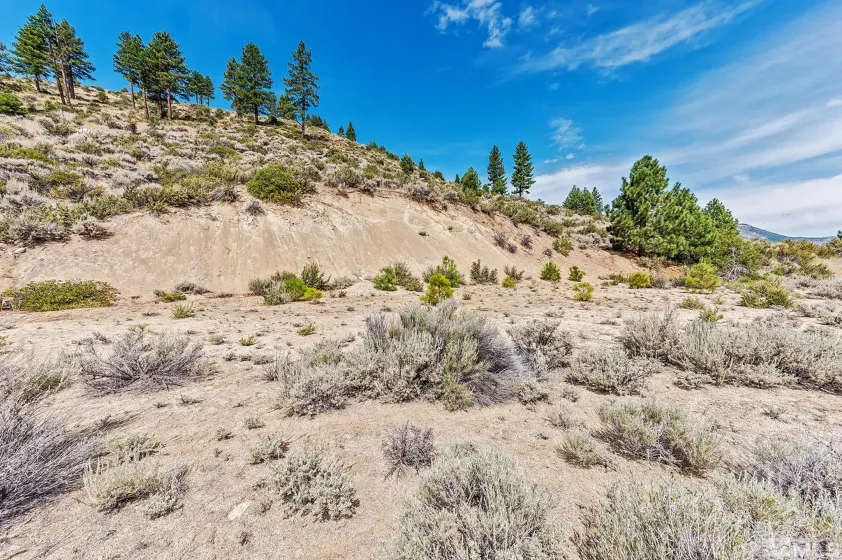 0 Bryan Canyon, Washoe Valley, Nevada 89704, ,Land,Residential,Bryan Canyon,0,240002394