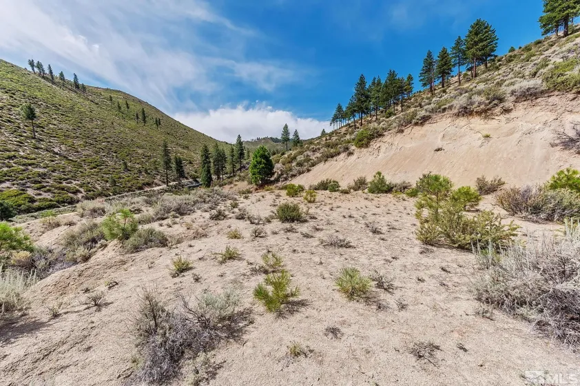 0 Bryan Canyon, Washoe Valley, Nevada 89704, ,Land,Residential,Bryan Canyon,0,240002394