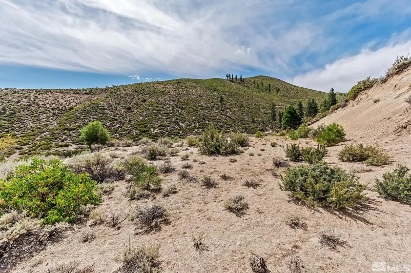 0 Bryan Canyon, Washoe Valley, Nevada 89704, ,Land,Residential,Bryan Canyon,0,240002394