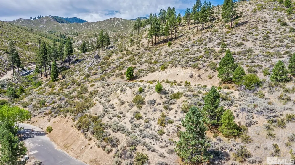 0 Bryan Canyon, Washoe Valley, Nevada 89704, ,Land,Residential,Bryan Canyon,0,240002394
