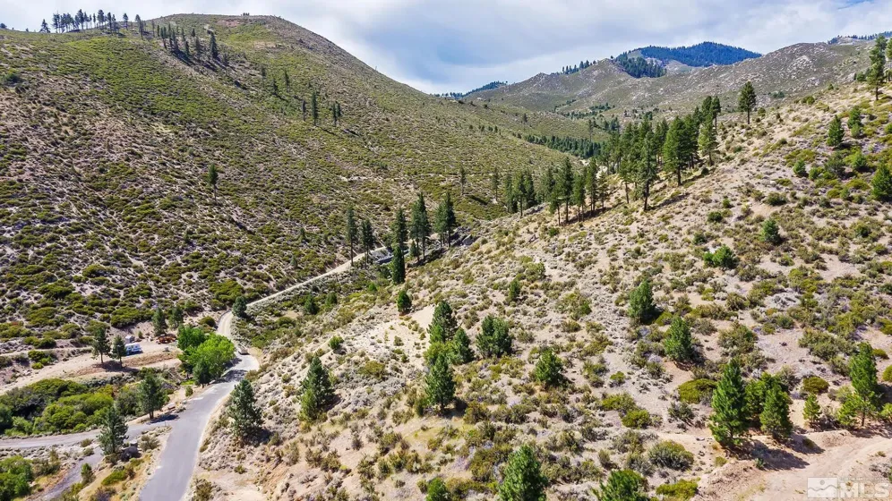 0 Bryan Canyon, Washoe Valley, Nevada 89704, ,Land,Residential,Bryan Canyon,0,240002394
