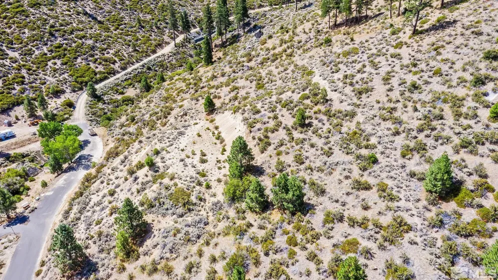 0 Bryan Canyon, Washoe Valley, Nevada 89704, ,Land,Residential,Bryan Canyon,0,240002394