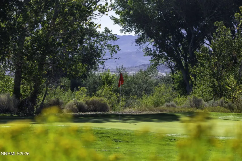 1051 Riverview, Gardnerville, Nevada 89460, 2 Bedrooms Bedrooms, ,2 BathroomsBathrooms,Residential,Residential,Riverview,260002443