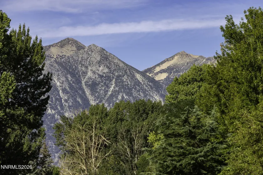 1051 Riverview, Gardnerville, Nevada 89460, 2 Bedrooms Bedrooms, ,2 BathroomsBathrooms,Residential,Residential,Riverview,260002443