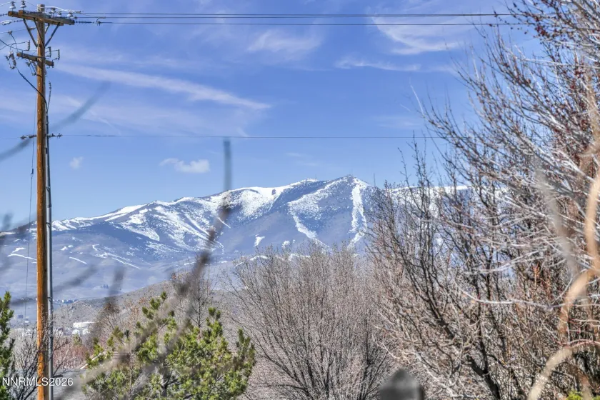 3663 Copernicus, Sparks, Nevada 89436, 4 Bedrooms Bedrooms, ,2 BathroomsBathrooms,Residential,Residential,Copernicus,260002454