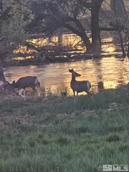 1677 Rio Vista, Fallon, Nevada 89406, 5 Bedrooms Bedrooms, ,3 BathroomsBathrooms,Residential,Residential,Rio Vista,240010763