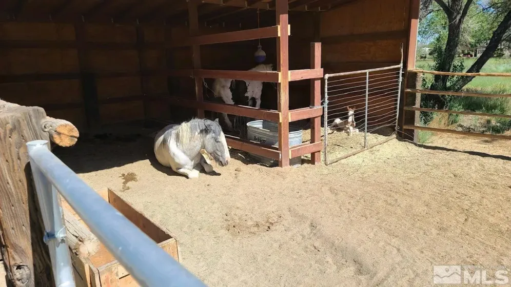 1677 Rio Vista, Fallon, Nevada 89406, 5 Bedrooms Bedrooms, ,3 BathroomsBathrooms,Residential,Residential,Rio Vista,240010763