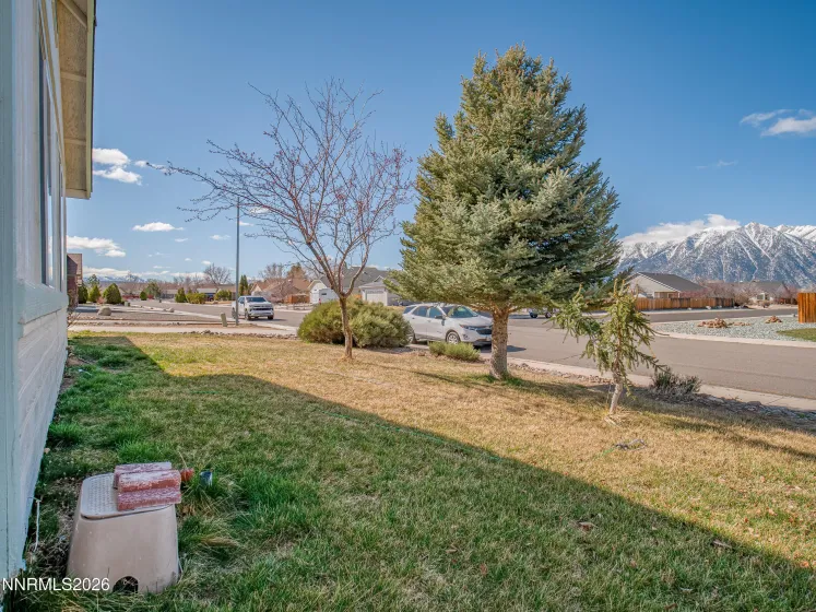 763 Lassen, Gardnerville, Nevada 89460, 3 Bedrooms Bedrooms, ,2 BathroomsBathrooms,Residential,Residential,Lassen,260002520