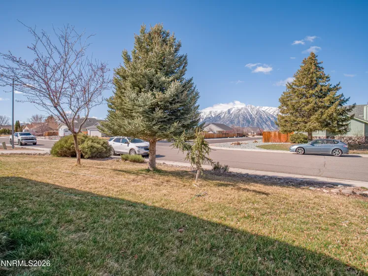 763 Lassen, Gardnerville, Nevada 89460, 3 Bedrooms Bedrooms, ,2 BathroomsBathrooms,Residential,Residential,Lassen,260002520