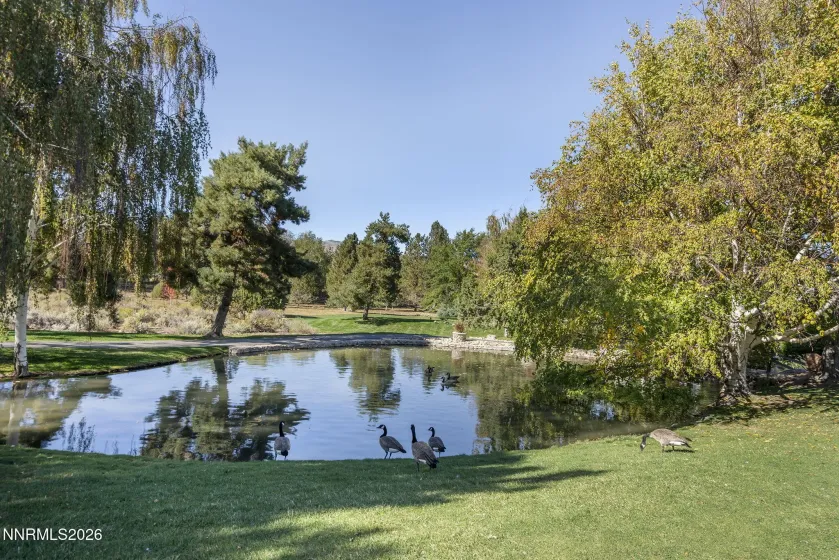 4791 Creek Ridge, Reno, Nevada 89519, 4 Bedrooms Bedrooms, ,3 BathroomsBathrooms,Residential,Residential,Creek Ridge,260002526