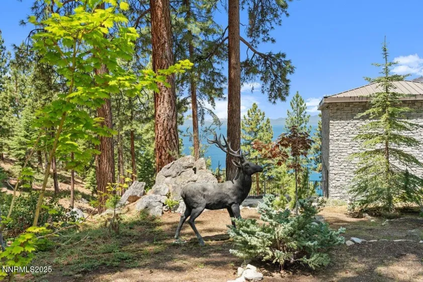 275 Chukkar, Glenbrook, Nevada 89413, 5 Bedrooms Bedrooms, ,7 BathroomsBathrooms,Residential,Residential,Chukkar,250052011