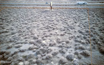 0 Frontage, Imlay, Nevada 89418, ,Land,Residential,Frontage,260002565