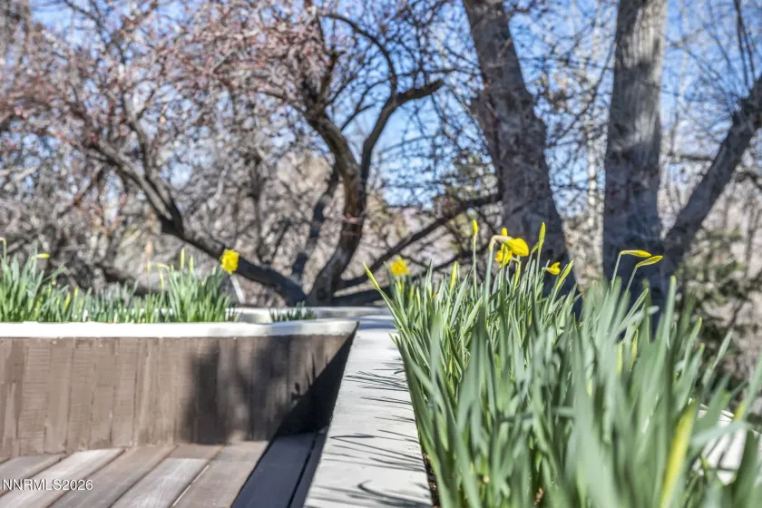 13600 Stoney Brook, Reno, Nevada 89511, 3 Bedrooms Bedrooms, ,3 BathroomsBathrooms,Residential,Residential,Stoney Brook,260002587