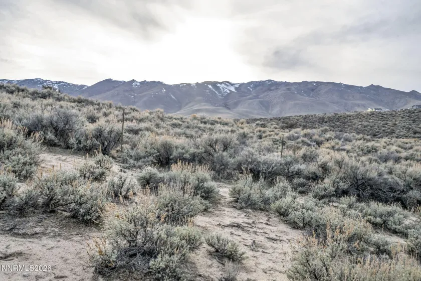 45 Arabian, Reno, Nevada 89508, 3 Bedrooms Bedrooms, ,2 BathroomsBathrooms,Residential,Residential,Arabian,260002605