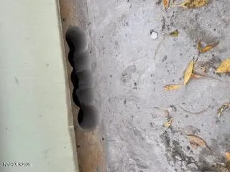 812 Chernus, Carson City, Nevada 89703, 3 Bedrooms Bedrooms, ,2 BathroomsBathrooms,Residential,Residential,Chernus,260002608