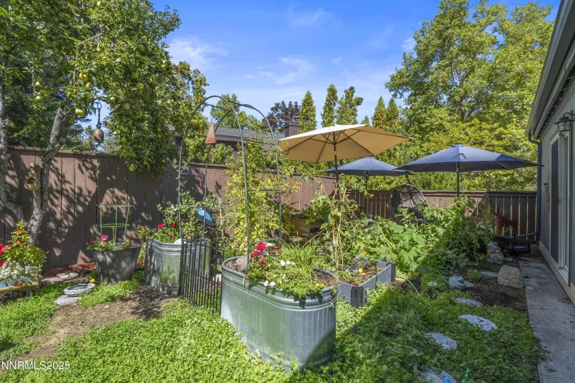 6435 Meadow Valley, Reno, Nevada 89519, 3 Bedrooms Bedrooms, ,2 BathroomsBathrooms,Residential,Residential,Meadow Valley,260002699