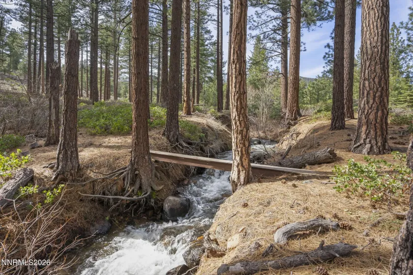 1155 Douglas Fir, Reno, Nevada 89511, 4 Bedrooms Bedrooms, ,3 BathroomsBathrooms,Residential,Residential,Douglas Fir,260002700